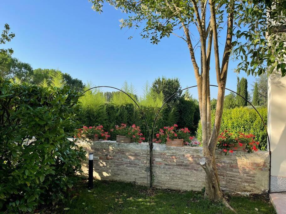Carpineto1: Con Giardino Vicino Siena *